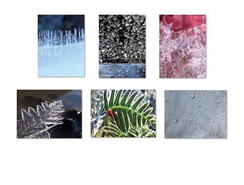 Snow and Ice II Greeting Card Collection by The Poetry of Nature